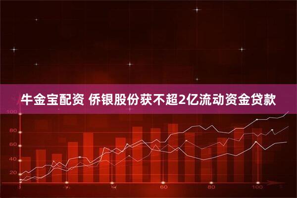 牛金宝配资 侨银股份获不超2亿流动资金贷款